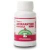 Netamin Astaxanthin kapszula természetes E-vitaminnal kapszula – 30db