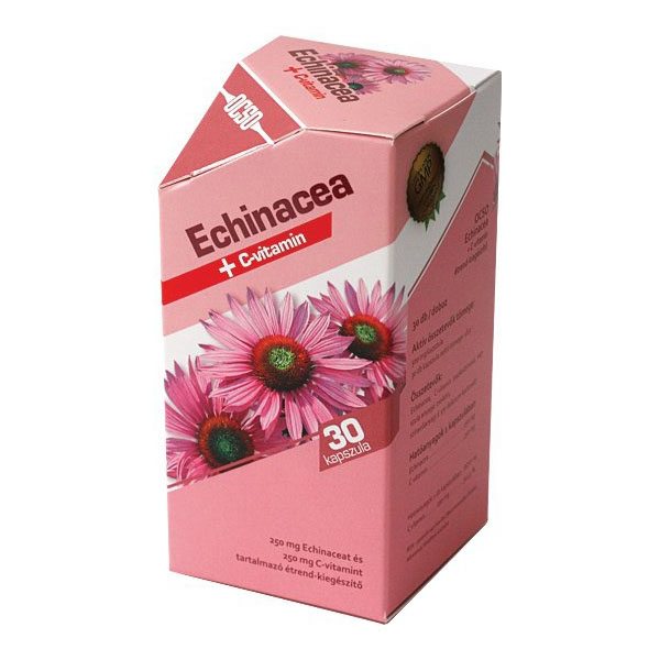 Echinacea – az egyik leghatékonyabb növényi antibiotikum » kedvesajandek.hu
