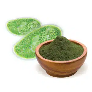 Biomenü bio chlorella alga por - 125g Biomenü bio chlorella alga por - 125g