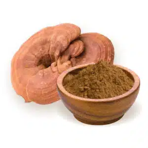 Biomenü Bio Reishi Ganoderma gomba por - 100g Biomenü Bio Reishi Ganoderma gomba por - 100g