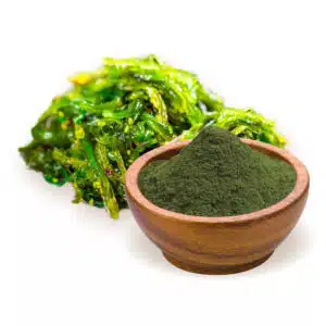 Biomenü bio spirulina alga por - 125g