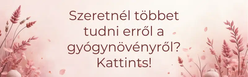 Tudj meg többet a gyógynövényről!