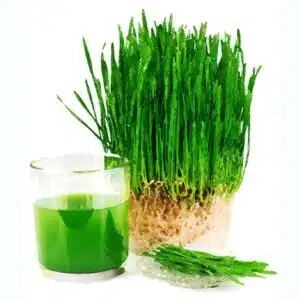 Natur Tanya Zöld Búzafű por - 200g