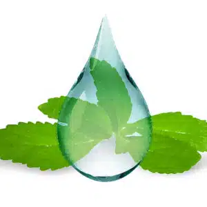 Natur Tanya Stevia csepp - 50ml