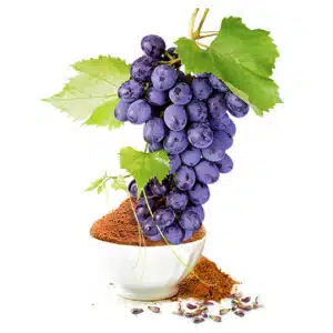 Natur Tanya Vörös Szőlőmagliszt - 250g Natur Tanya Vörös Szőlőmagliszt - 250g