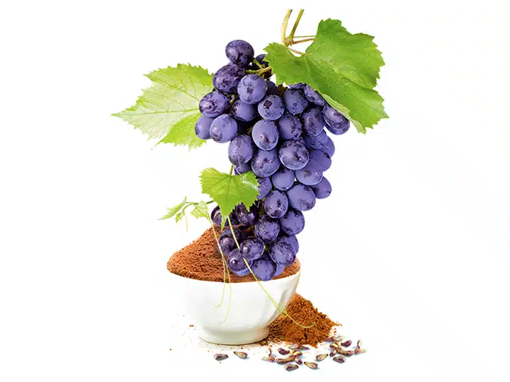 Natur Tanya Vörös Szőlőmagliszt - 250g Natur Tanya Vörös Szőlőmagliszt - 250g