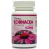 Netamin Echinacea 380 mg tabletta - 30db