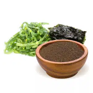 BioMenü Bio Kelp algapor - 125g