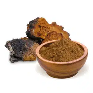 Biomenü Bio Chaga gombapor - 100g