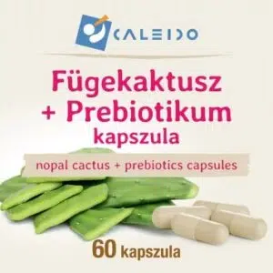 Caleido Fügekaktusz + Prebiotikum kapszula - 60db - Image 3