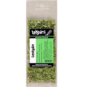 lakshmy-lestyan