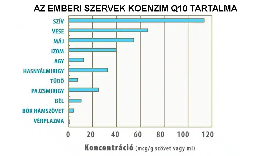 Natur Tanya Szerves koenzim Q10 tabletta - 60db Natur Tanya Szerves koenzim Q10 tabletta - 60db