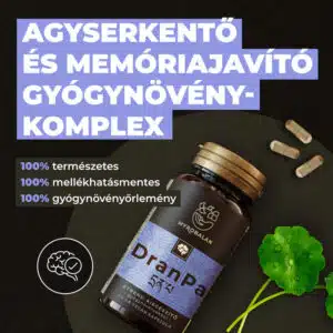 Myrobalan DranPa - agyserkentő, memóriajavító kapszula - 60db