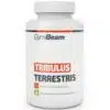 GymBeam Tribulus Terrestris tabletta - 240db