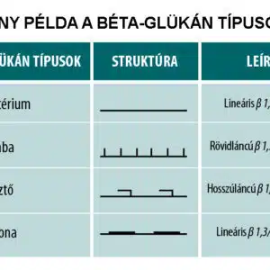 Natur Tanya Fermentált Béta-glükán kapszula - 30db