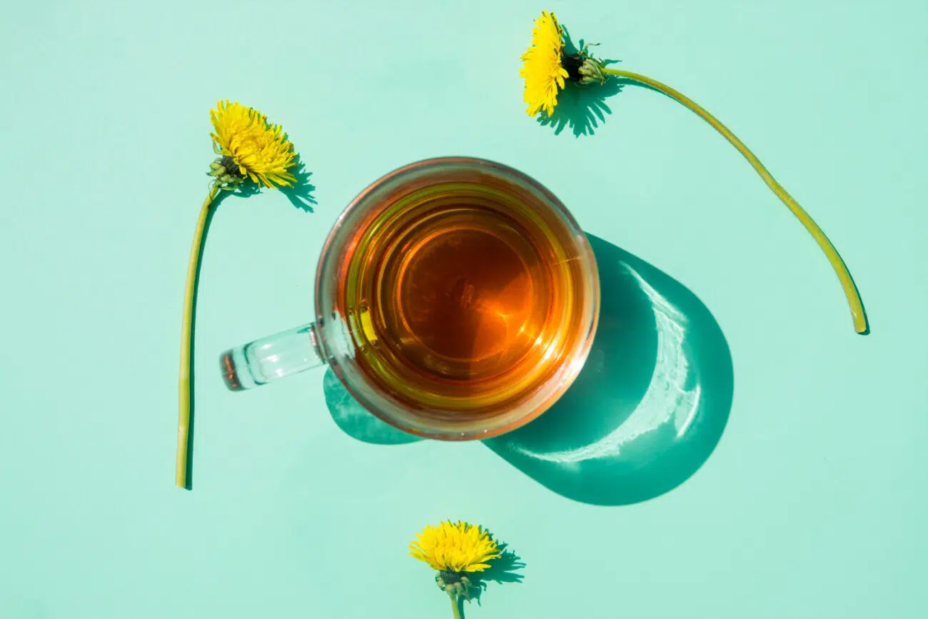 pitypang tea pitypang tea