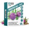 Natur Tanya Máriatövis Max + Kolin tabletta - 60db