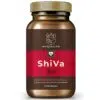 Myrobalan ShiVa - vérnyomáscsökkentő gyógynövény-komplex kapszula - 60db
