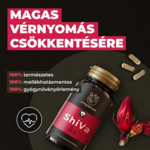Myrobalan ShiVa - vérnyomás csökkentő gyógynövény-komplex kapszula - 60db