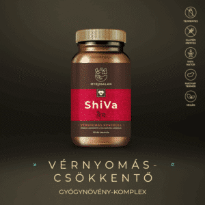 Myrobalan ShiVa - vérnyomás csökkentő gyógynövény-komplex kapszula - 60db