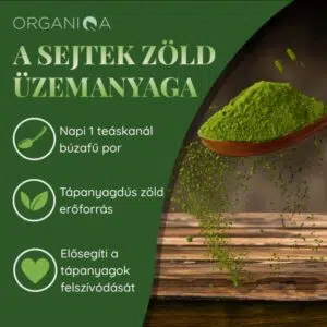 Organiqa Bio Búzafű por - 125g - Image 5