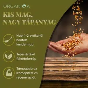 Organiqa Bio Hántolt Kendermag - 125g - Image 5