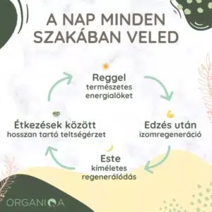 Organiqa Bio Kendermag fehérje por - 250g - Image 2