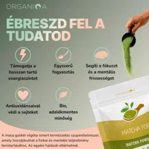 Organiqa Bio Matcha por - 60g - Image 6