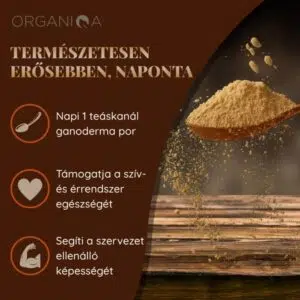 Organiqa Bio Reishi-Ganoderma por - 125g - Image 5 Organiqa Bio Reishi-Ganoderma por - 125g - Image 5