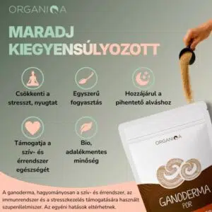 Organiqa Bio Reishi-Ganoderma por - 125g - Image 6 Organiqa Bio Reishi-Ganoderma por - 125g - Image 6