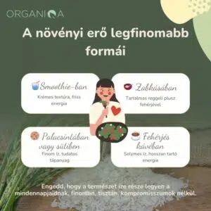 Organiqa Bio Rizsfehérje por - 200g - Image 3 Organiqa Bio Rizsfehérje por - 200g - Image 3