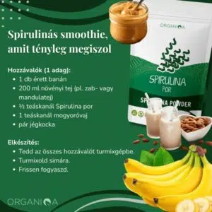 Organiqa Bio Spirulina alga por - 125g - Image 2