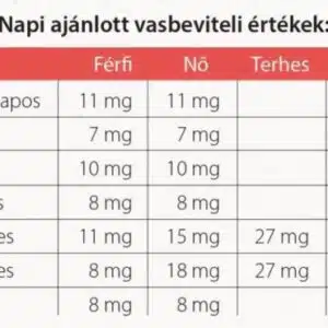 Vitaking VitaFer-L liposzómás vas készítmény - 120ml