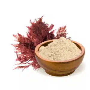 Biomenü Bio Agaragar por - 60g