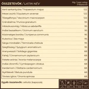 Myrobalan UriDag - hólyaghurut és húgyúti fertőzésekre kapszula - 60db
