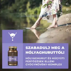 Myrobalan UriDag - hólyaghurut és húgyúti fertőzésekre kapszula - 60db