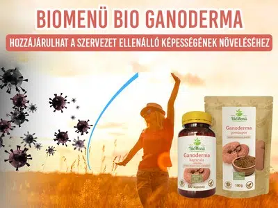 Biomenü Bio Ganoderma