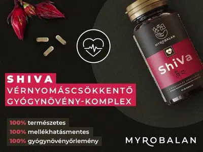 Myrobalan ShiVa – vérnyomás csökkentő gyógynövény-komplex kapszula
