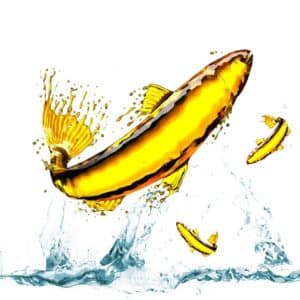 Natur Tanya Omega-3 TG - Vadvízi halolaj kapszula - 60db Natur Tanya Omega-3 TG - Vadvízi halolaj kapszula - 60db