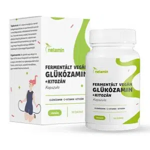 Netamin Fermentált Vegán Glükozamin + Kitozán kapszula - 90db