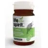 Life Spirit Chaga kapszula