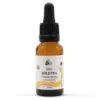 Natessence Bio Zöld tea CO2 kivonat - 10ml