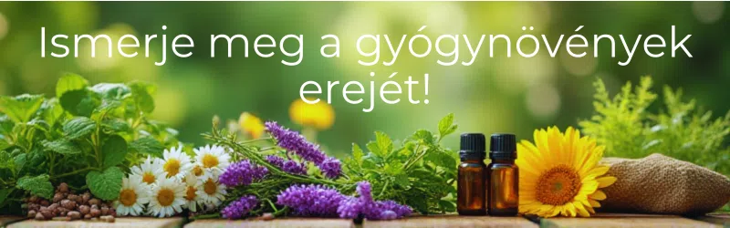 gyógynövények, LUMBAYOL gyógynövények, LUMBAYOL