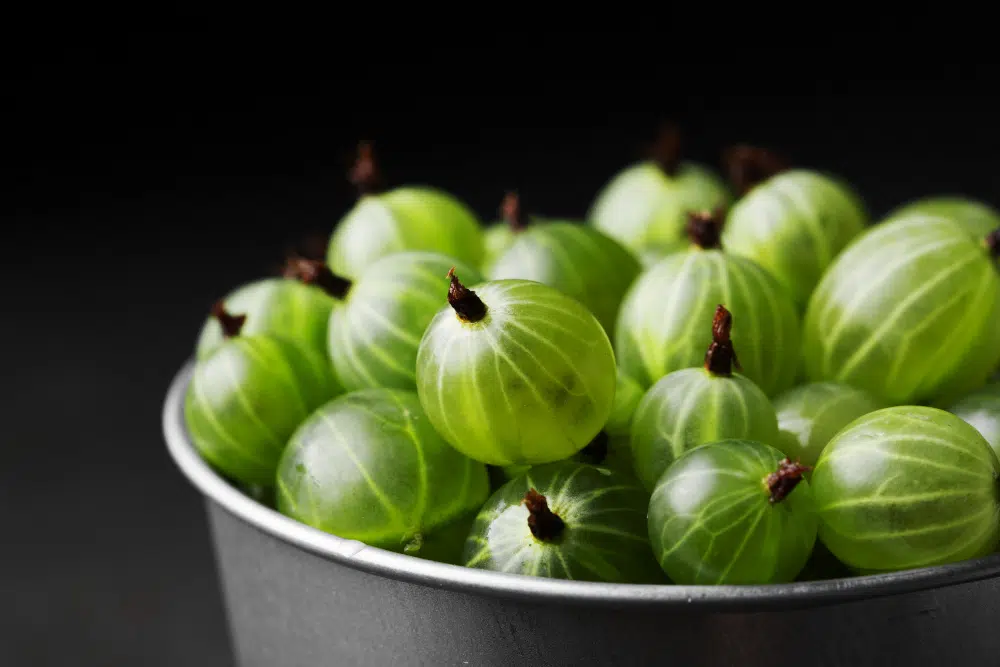 amla amla