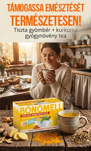 Bonomelli Gyömbér és Kurkuma gyógynövény tea