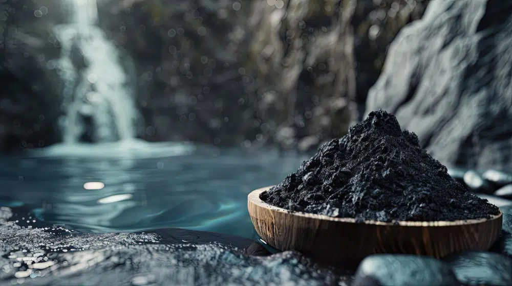 Shilajit (múmijó) Shilajit (múmijó)