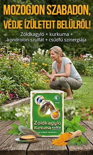 Dr. Chen zöldkagyló kurkuma extra kapszula