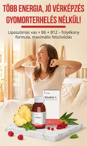 Vitaking VitaFer-L liposzómás vas készítmény