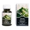 Garuda ayurveda shilajit kapszula vegetáriánus 60db