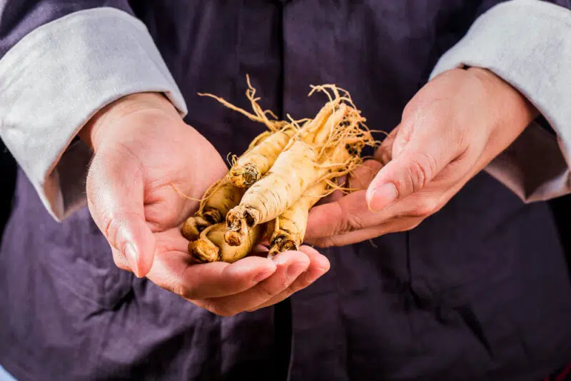 Ginseng kapszula: A legjobb választás a fáradtság ellen